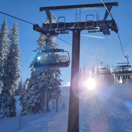 Haus Sonnleiten Lejlighed Maria Alm am Steinernen Meer