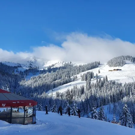 Haus Sonnleiten Lejlighed Maria Alm am Steinernen Meer