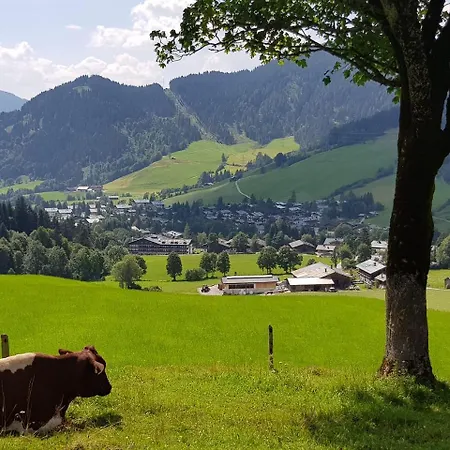 Apartmán Haus Sonnleiten *