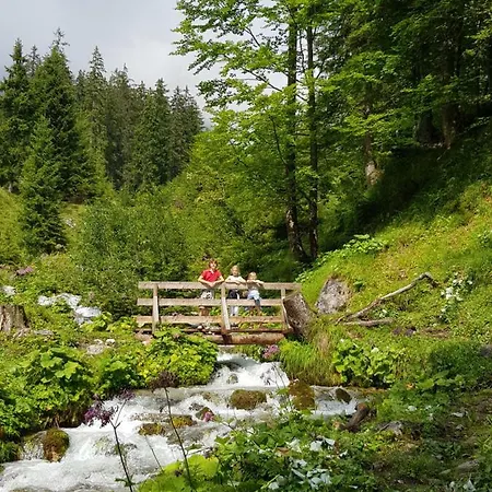 Haus Sonnleiten Lejlighed Maria Alm am Steinernen Meer