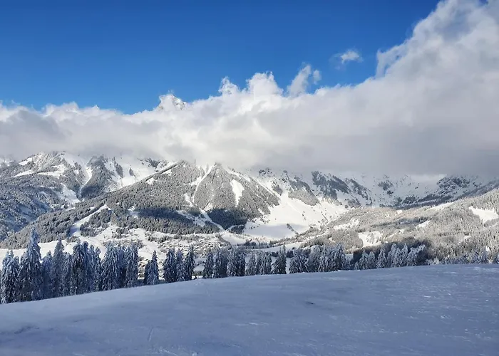 Haus Sonnleiten Apartmán *