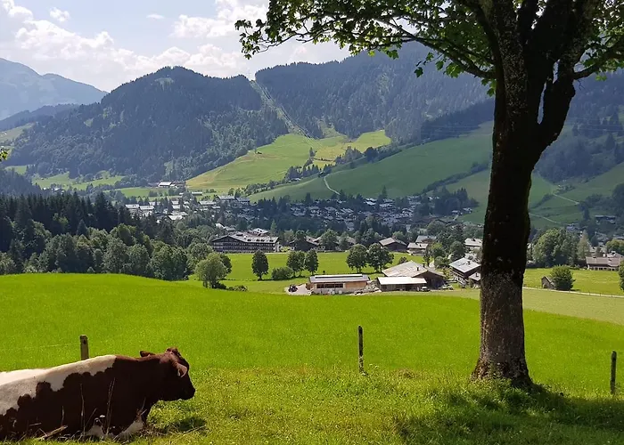 Apartmán Haus Sonnleiten *