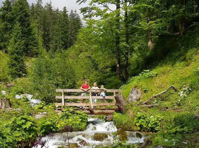 Haus Sonnleiten Appartement Maria Alm am Steinernen Meer